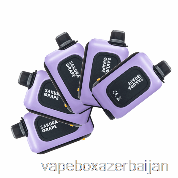 E-Juice Vape [5-Pack] Instabar WT15000 Disposable